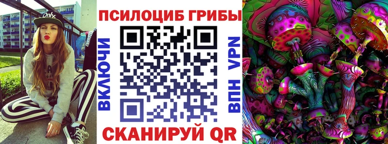 закладка Харовск Галлюциногенные грибы Psilocybine cubensis